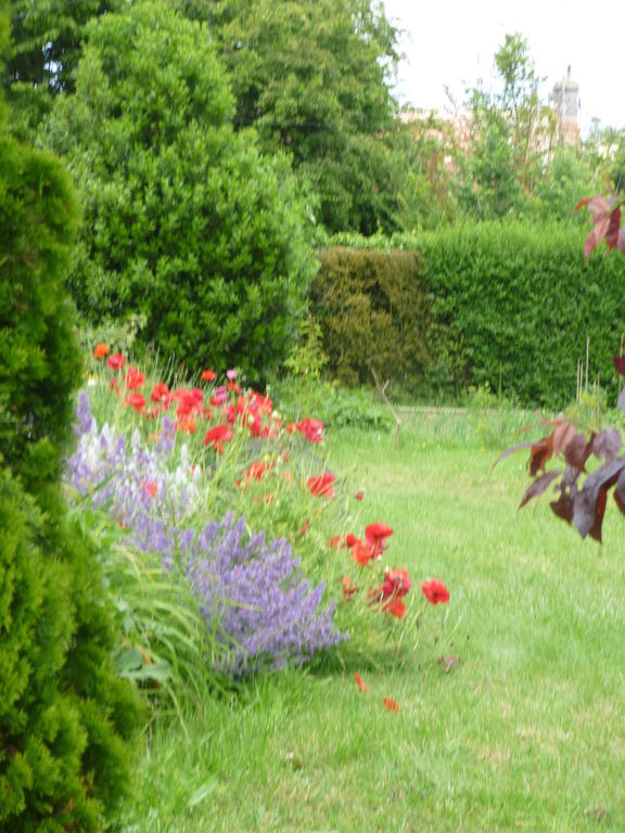Bed and Breakfast Chez Pommette et Billy La Hoguette Exterior foto